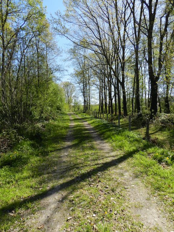 B&B Le Bois De Champia Huy Luaran gambar