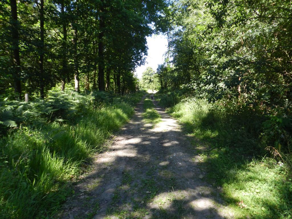B&B Le Bois De Champia Huy Luaran gambar